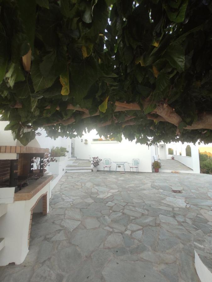 House Moschα Villa อานดรอส ภายนอก รูปภาพ